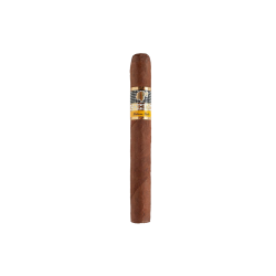 Cohiba Siglo 2