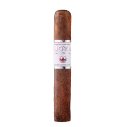 Jdn Joya Silver Robusto